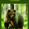 bear liten